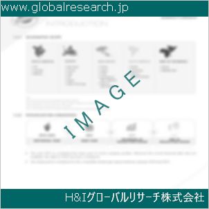 グローバルリサーチ調査資料のイメージ
